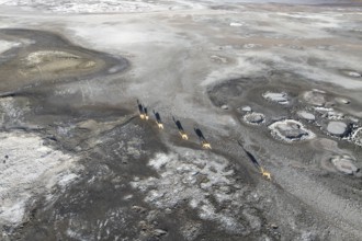 Aerial view of Guanacos gracefully wandering across the expansive, rugged landscape of the Andean