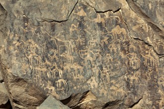 Detailed animal engravings on a rock face, rich in historical art motifs, petroglyphs on rocks in