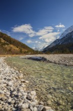 Isar valley nature conservancy area. The wild Isar river flows through its gravel bed