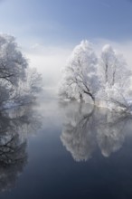 Lake Kochelsee in Bavaria, Germany. River Loisach leaving the lake. Winter, hoar frosted trees