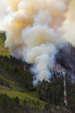 Landscape in South Africa, forest fire, fire, smoke, flames, burning forest, N2, Kou-Kamma Ward 6,