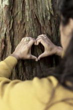 Hands form a heart shape against a textured tree trunk, symbolizing connection and love for nature