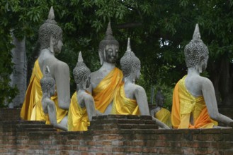 Stone Buddha statues draped in vibrant yellow cloth sit peacefully against a backdrop of lush green
