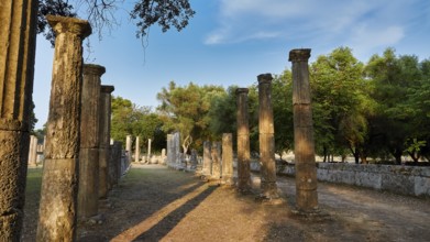 Palestra, long row of ancient columns lined with trees and sky, Archaeological Site, Ancient