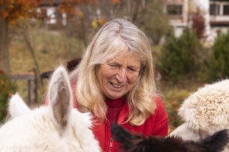 An elderly woman with a warm smile lovingly interacts with her alpacas in the colorful backdrop of