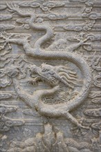 vehicleving Dragon of Western Imperial Tombs of the Qing Dynasty