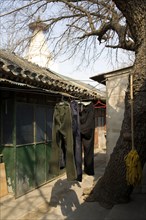 Beijing Hutong