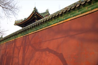 the Forbidden City,Forbidden City,Beijing