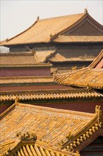 the Forbidden City,Forbidden City,Beijing