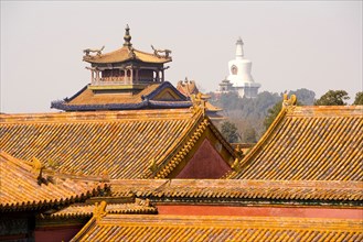 the Forbidden City,Forbidden City,Beijing