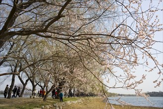 The Summer Palace,Beijing