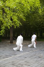 Morning Exercises in Zizhu Garden,Beijing