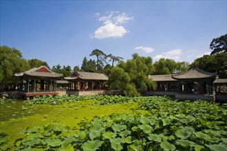 The Summer Palace