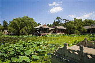 The Summer Palace