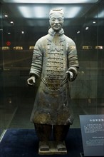 the Emperor Qin's Terra-cotta Warriors,Terra-cotta,Terracotta,Terra cotta,Xi'an