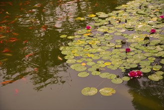 A pond in the Hua Qing Palace,Hua Qing,Huaqing,Xi'an