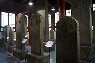 Forest of tablet,Xi'an