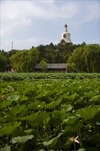 View of North Sea Park,Beijing