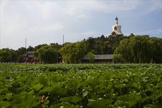 View of North Sea Park,Beijing