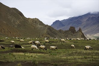 Mountains and Meadow along the Way to Tingri