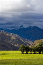 Mountains and Meadow along the Way to Tingri