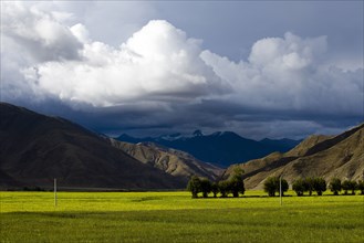 Mountains and Meadow along the Way to Tingri