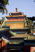 The Temple of Puning,Chengde