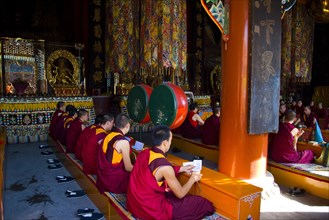 The Temple of Puning,Chengde