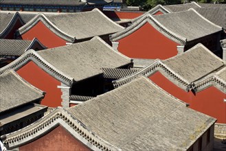 The Temple of Puning,Chengde