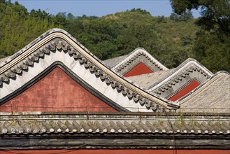 The Temple of Puning,Chengde