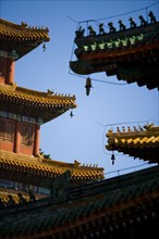 The Temple of Puning,Chengde