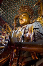 The Temple of Puning,Chengde