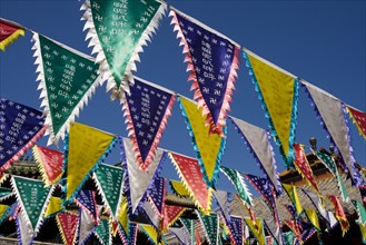 The Temple of Puning,Chengde