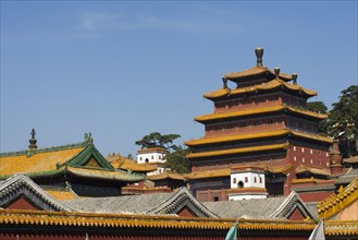 The Temple of Puning,Chengde