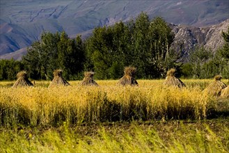 Mountains and Meadow along the Way to Lahsa