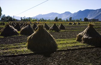 Mountains and Meadow along the Way to Lahsa