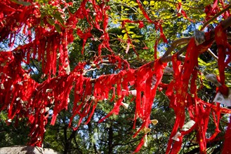 Red belt,Shandong