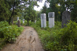 View of Confucius Forest in Qufu,Shandong