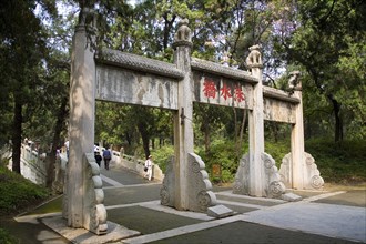 View of Confucius Forest in Qufu,Shandong