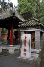 View of Confucius Forest in Qufu,Shandong