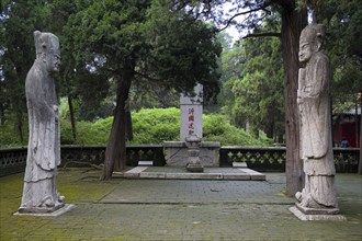 View of Confucius Forest in Qufu,Shandong