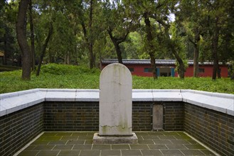 View of Confucius Forest in Qufu,Shandong