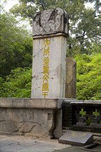 View of Confucius Forest in Qufu,Shandong