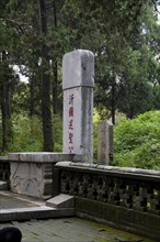 View of Confucius Forest in Qufu,Shandong