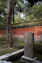 View of Confucius Forest in Qufu,Shandong