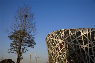 Beijing 2008 Olympic Game Main Stadium Bird Nest