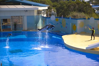 Hong kong marine park