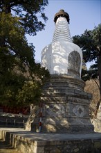 Dajue Temple,Beijing