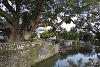 Village of Jiangxi