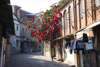 Xiamen,Fujian,Gulangyu